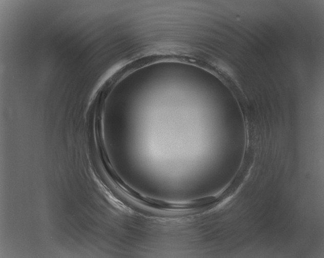 X0000051871114200506241340
