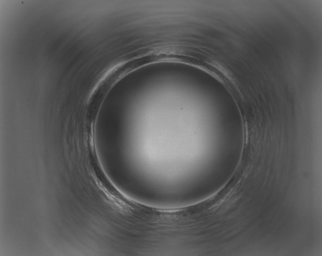 X0000051871115200506241340