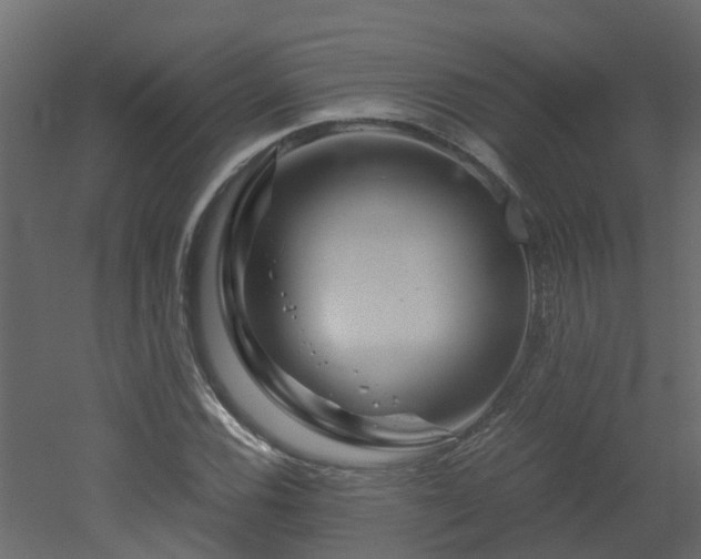 X0000051871116200506241340
