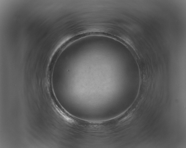 X0000051871119200506241340