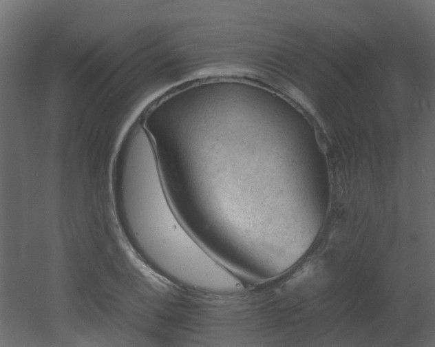 X0000051871124200506241340