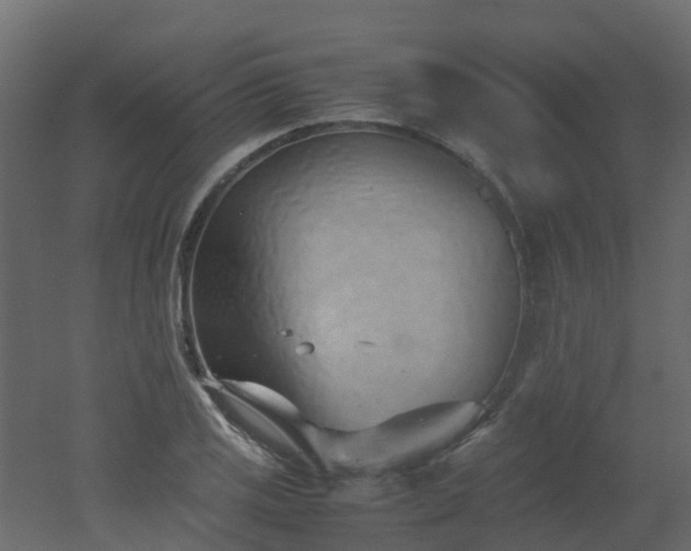 X0000051871125200506241340