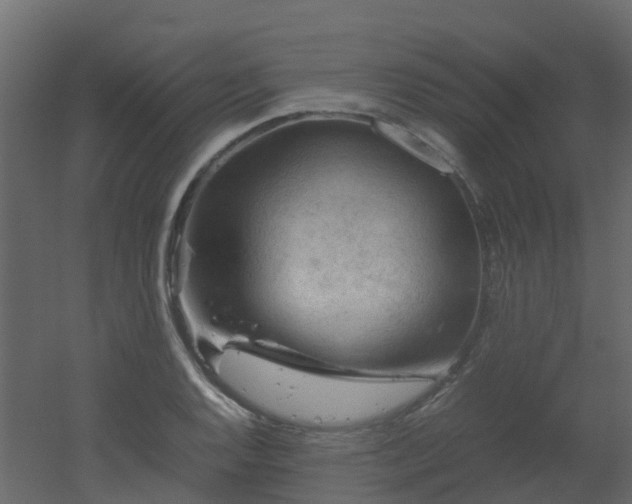 X0000051871128200506241340