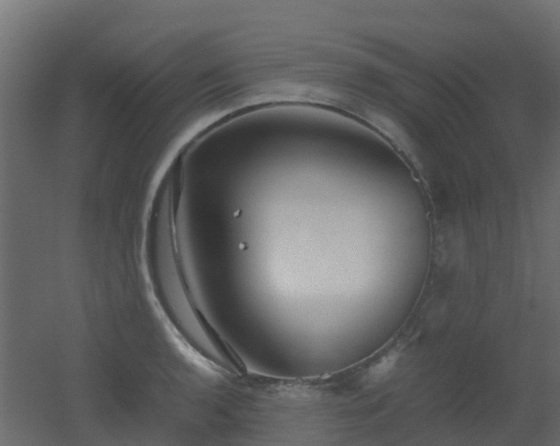 X0000051871136200506241340