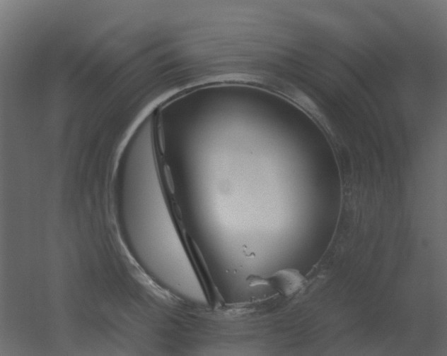 X0000051871140200506241340