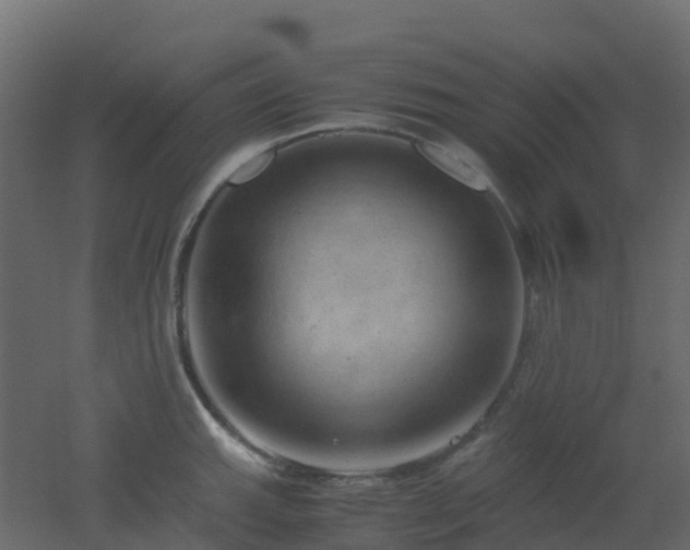 X0000051871143200506241340