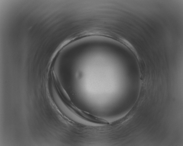 X0000051871146200506241340