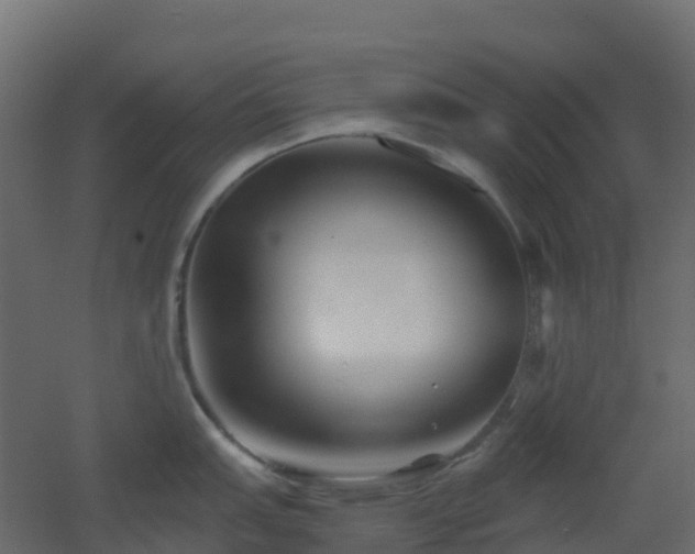 X0000051871151200506241340