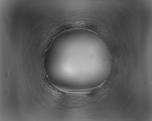 X0000051871153200506241340