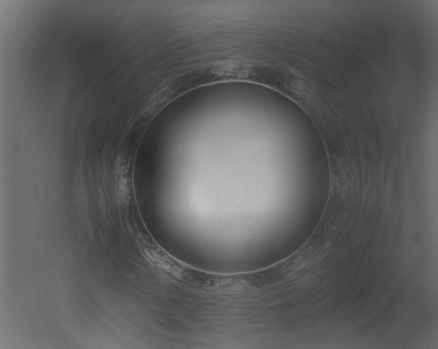 X0000051871154200506241340