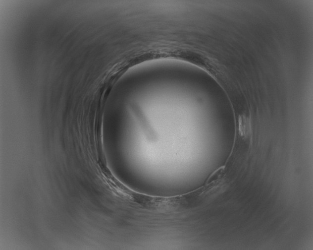 X0000051871155200506241340