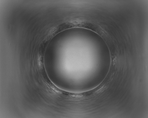 X0000051871156200506241340