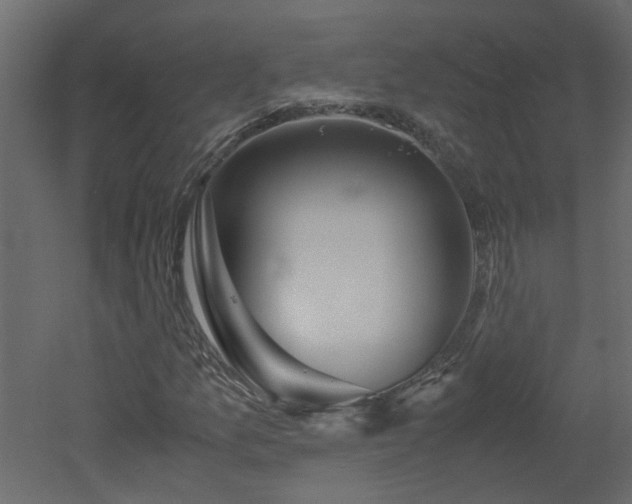 X0000051871157200506241340