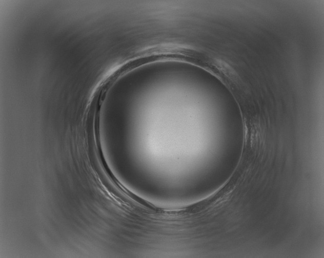 X0000051871164200506241339