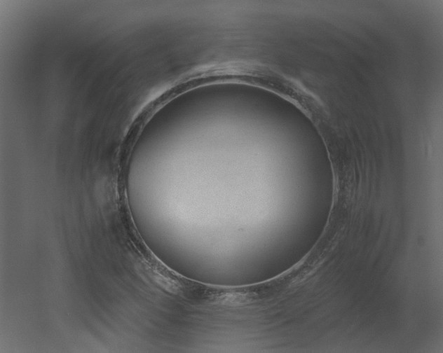 X0000051871166200506241339