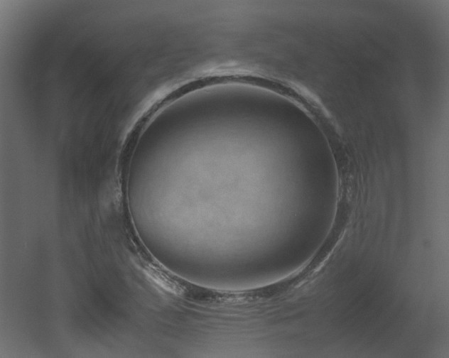 X0000051871167200506241339