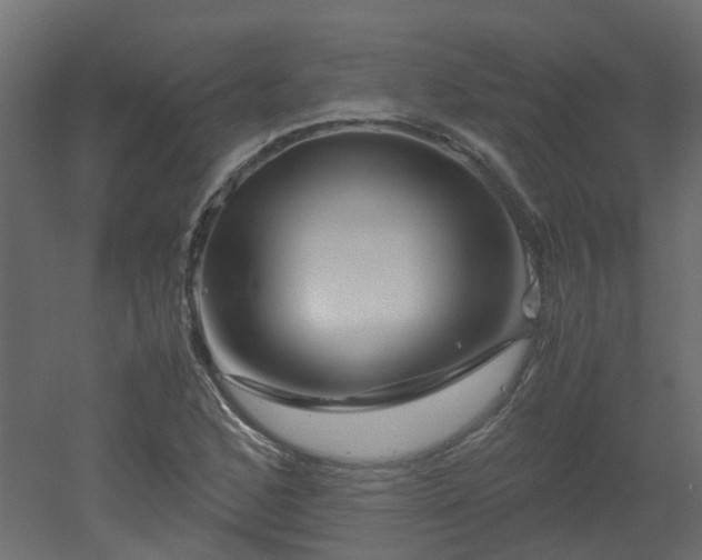 X0000051871168200506241339