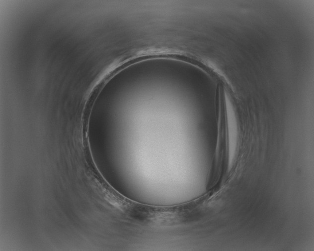 X0000051871173200506241339
