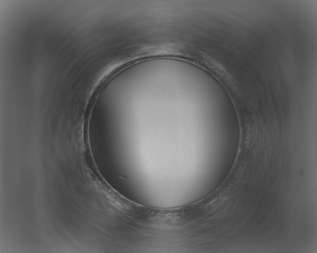 X0000051871174200506241339