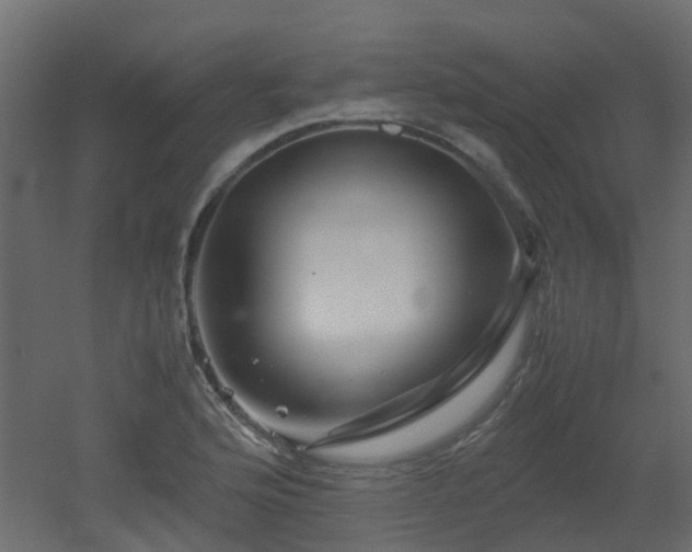 X0000051871176200506241339