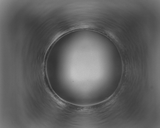 X0000051871178200506241339