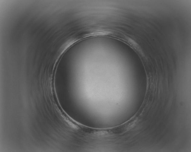 X0000051871186200506241339