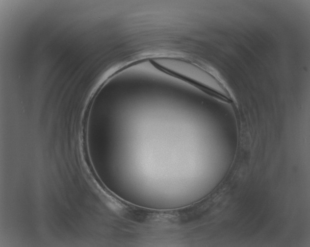 X0000051871187200506241339