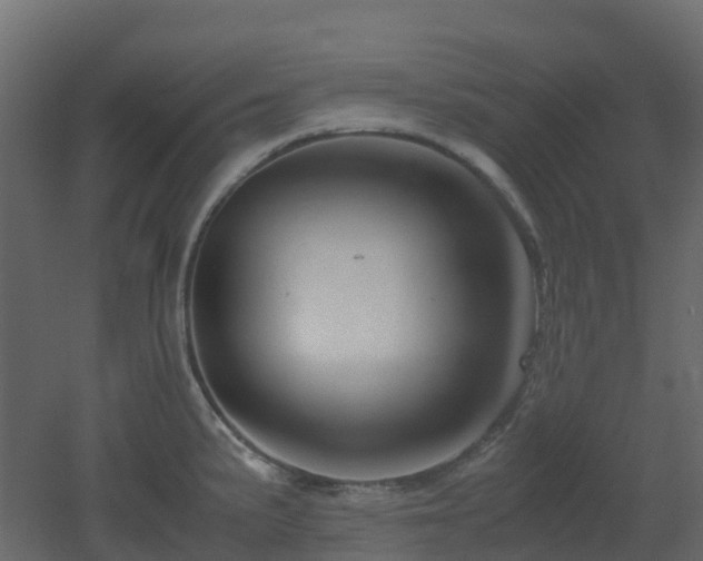 X0000051871191200506241339