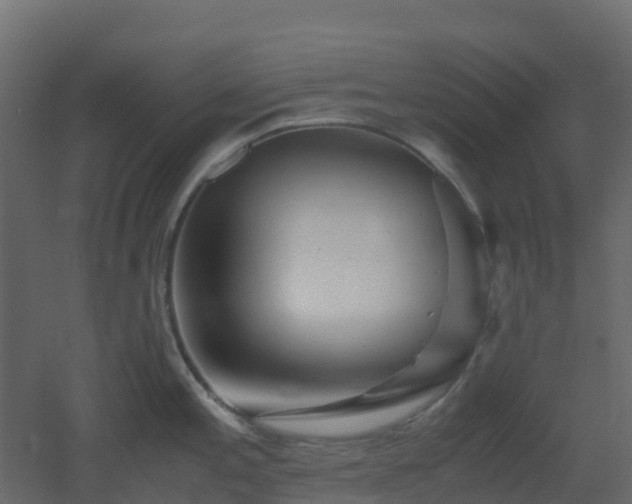 X0000051871197200506241339