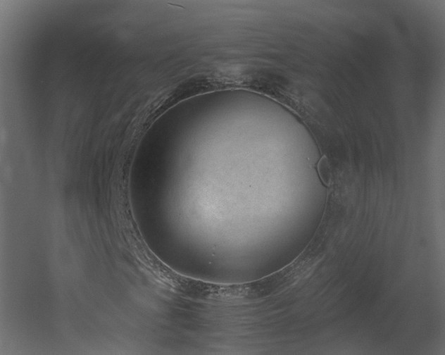 X0000051871201200506241338