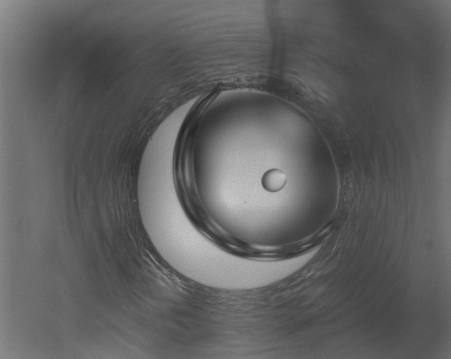 X0000051871202200506241338