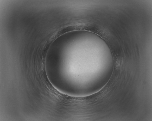 X0000051871204200506241338