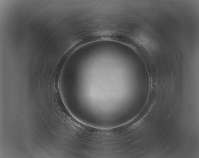 X0000051871209200506241338