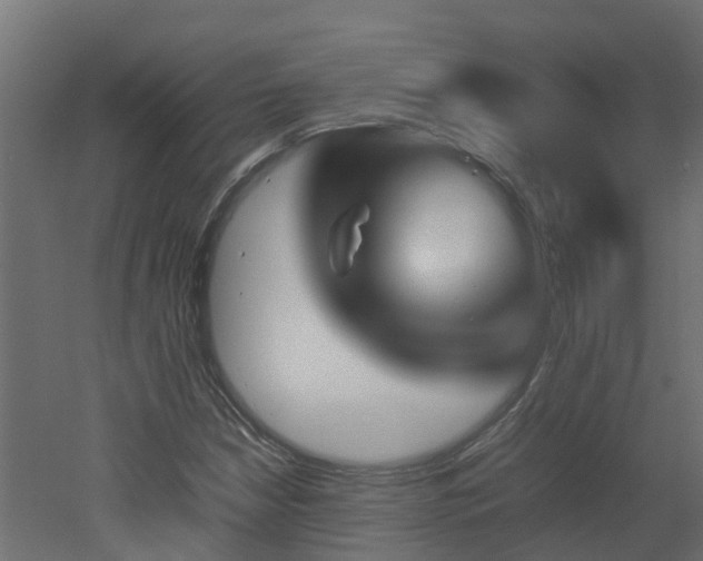 X0000051871210200506241338