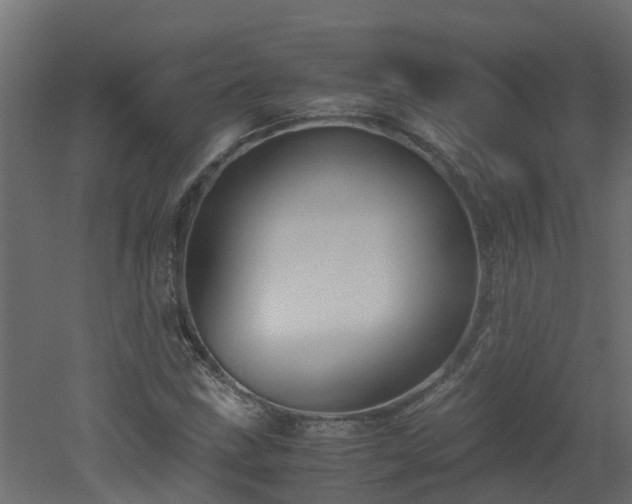 X0000051871211200506241338