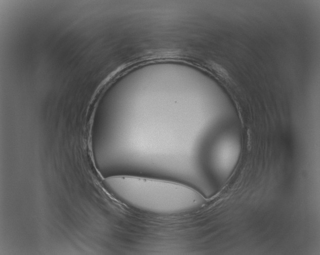 X0000051871212200506241338