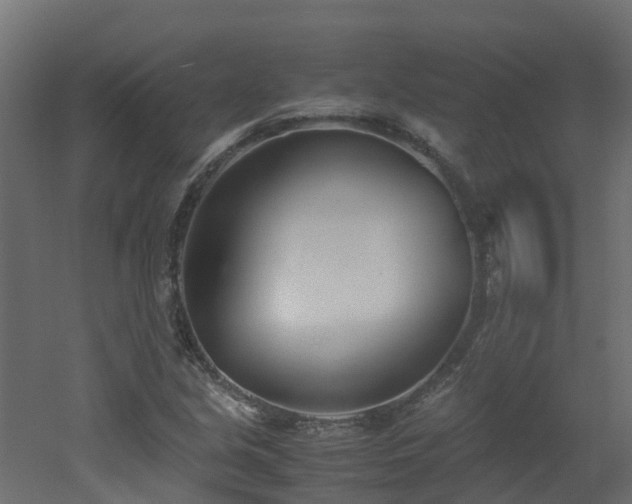 X0000051871213200506241338