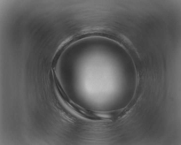 X0000051871218200506241338
