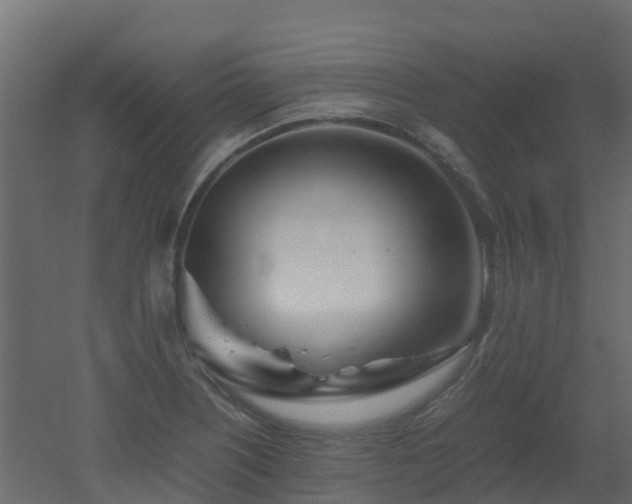 X0000051871226200506241338