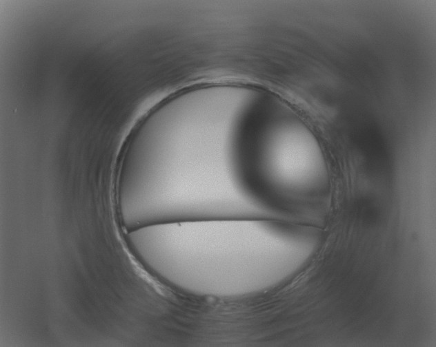 X0000051871231200506241339