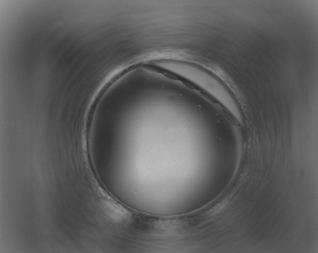 X0000051871232200506241339