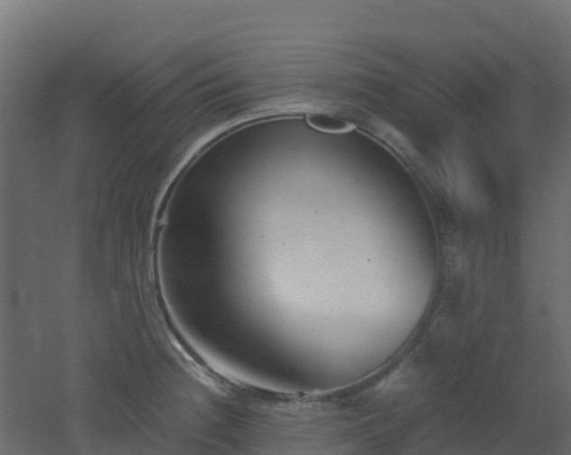 X0000051871236200506241339