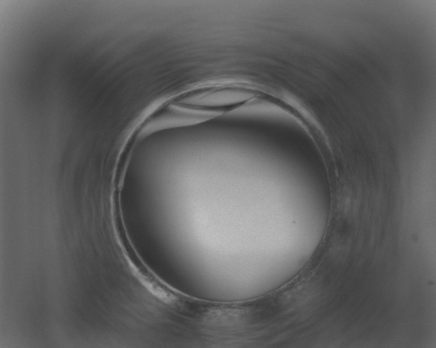 X0000051871237200506241339