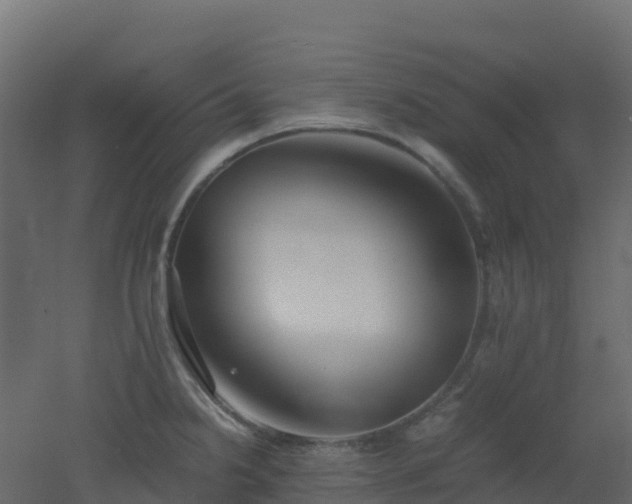 X0000051871238200506241339
