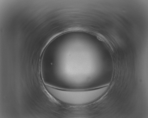 X0000051871244200506241339