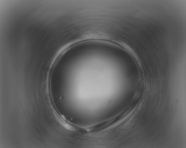X0000051871246200506241339
