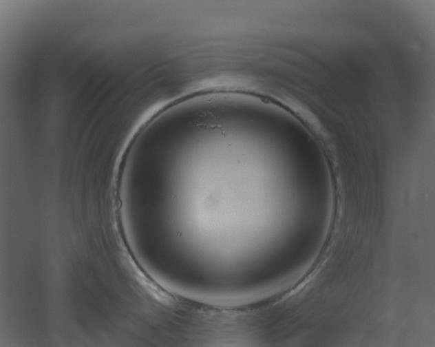 X0000051871248200506241339
