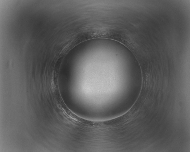 X0000051871250200506241338