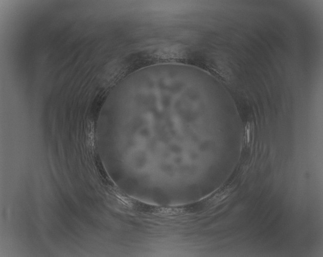 X0000051871251200506241338