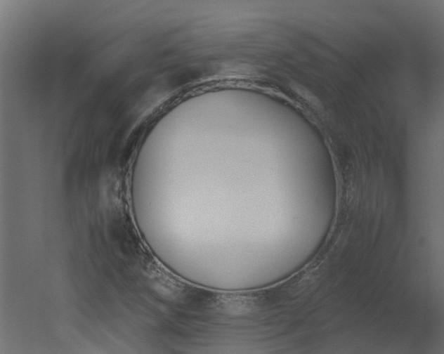 X0000051871258200506241338
